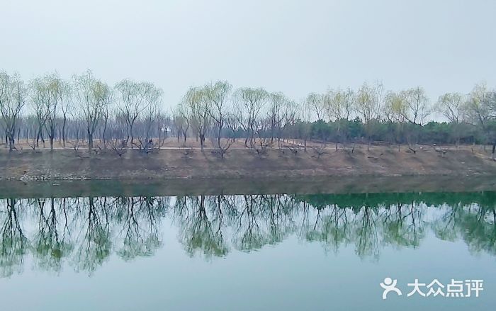 坝河休闲公园图片