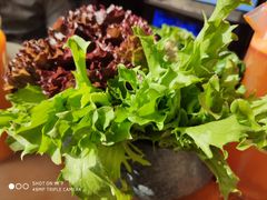 -清真·噃茄树黄柿子火锅