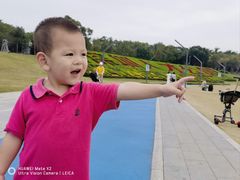 景点-深圳人才公园