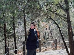 -阳台山自然风景区