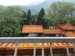-深圳仙湖植物园