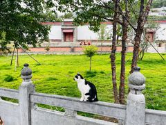 -塔尔寺