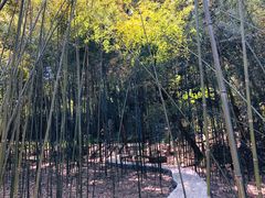 -四门塔风景区