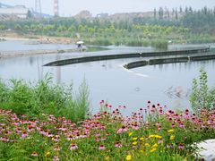 -永定河休闲森林公园