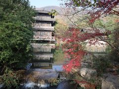 -习家池