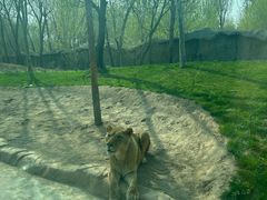 -北京野生动物园