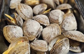 Dan Dong Clam Box