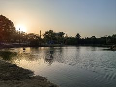 -佘山世茂艾美·御珍轩中餐厅