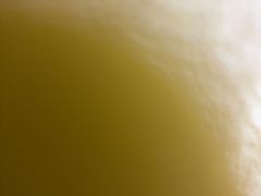 -良友·海鲜青岛菜(五四广场店)