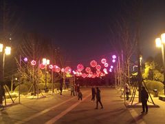 -迎泽公园