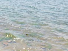 -丁香湖公园