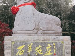 -石羊农庄