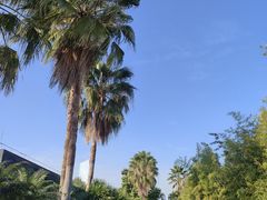 -蓝楹湾度假酒店