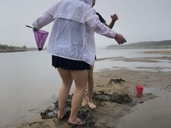 -海驴岛(荣成市)