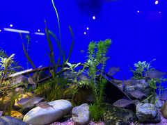 -上海海洋水族馆