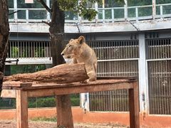 -昆明动物园