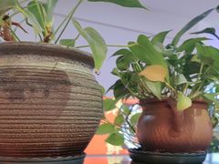 -怪噜范·老贵阳街头名小吃(鸿通城店)