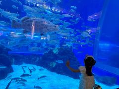 -成都浩海立方海洋公园