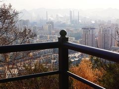 -望溪公园