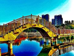 -五缘湾湿地公园