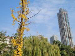 -沙河三洞古桥公园