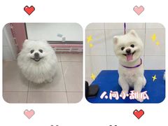-全心全意连锁动物医院(加州店)