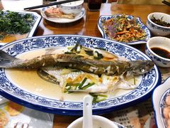 清蒸白水鱼-洞天食府(北大街店)