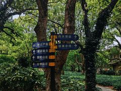 -普陀山风景名胜区-法雨禅寺