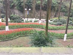 -忠山公园