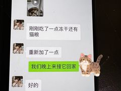 -康成宠物医院24H·CT·核磁共振