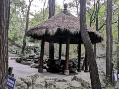 -北京植物园南门售票处