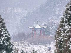 -北京西山国家森林公园