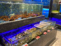 水产区-乾隆美食·本帮菜(黄河路店)