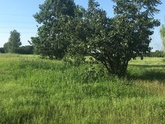 -汉长安城未央宫国家考古遗址公园