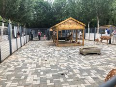 -长白岛森林公园