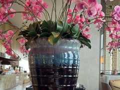 -嘉定凯悦·咖啡厅