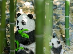 -上海老饭店(北京分店)