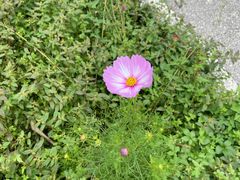 -中国天府农业博览园