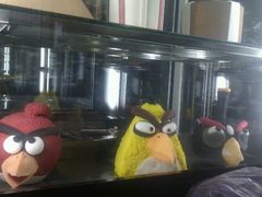 立体蛋糕-西点坊(浦东香格里拉店)