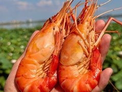 -七的湖·晚芳亭·阳澄湖农家菜·大闸蟹(莲花岛店)