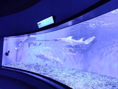 -正佳极地海洋世界