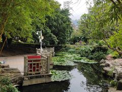 -晓港公园