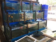 水产区-老东镇啤酒屋海鲜加工·蒸汽海鲜·海鲜烧烤(台东店)