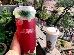 -鸡鸣赐茶(鸡鸣寺路店)