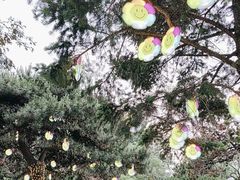 -北陵公园