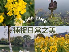 -瑶湖郊野森林公园