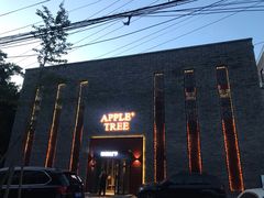门面-苹果树下艺术餐厅(宋庄店)