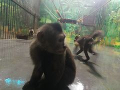 -西安秦岭野生动物园