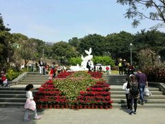 -金鸡山公园