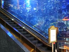 -迪拜帆船酒店海底餐厅